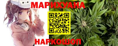 шишки Краснознаменск