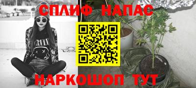 шишки Краснознаменск