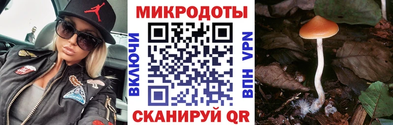 Галлюциногенные грибы Magic Shrooms  ОМГ ОМГ онион  Дзержинск 