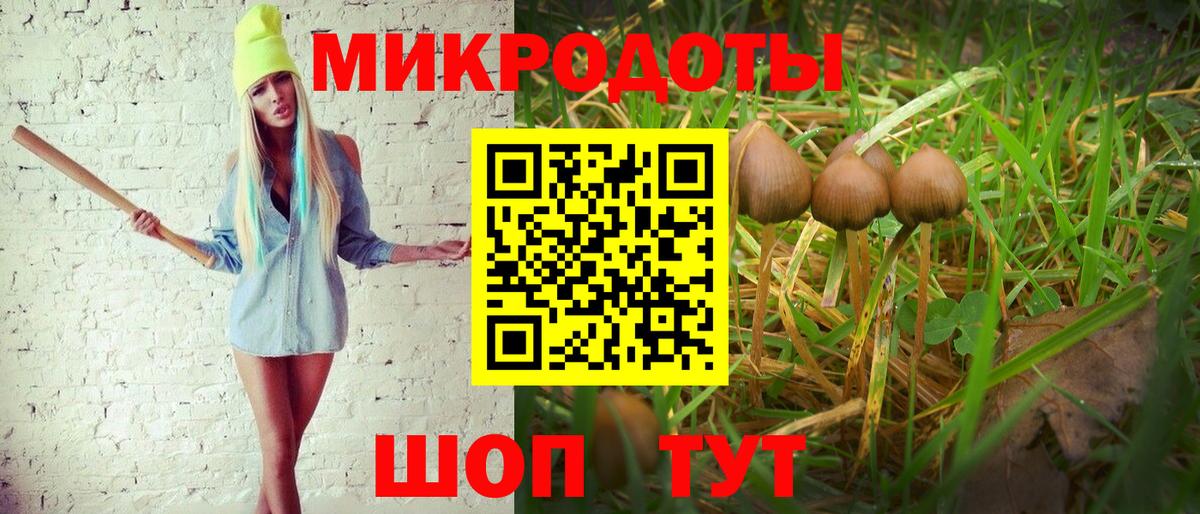 Псилоцибиновые грибы MAGIC MUSHROOMS Дзержинск