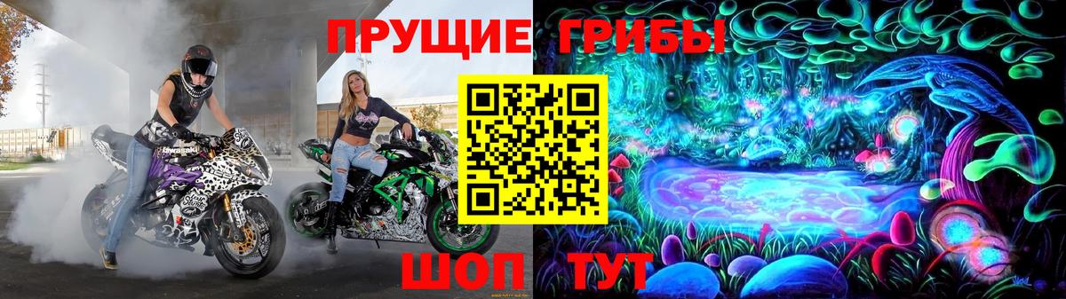 купить  сайты  Вход с VPN  Дзержинск  Псилоцибиновые грибы Magic Shrooms 